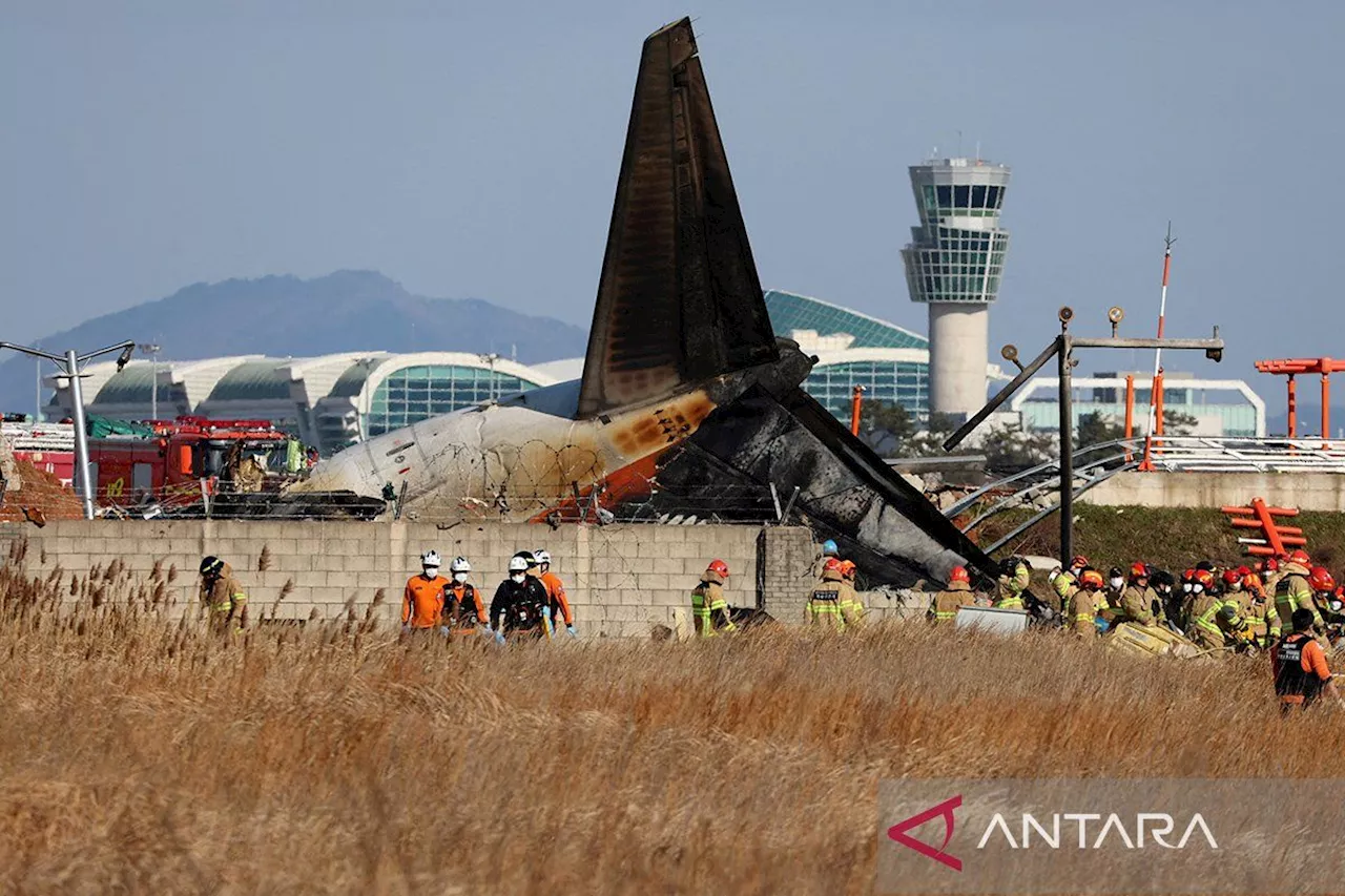 Pesawat Jeju Air Terjun di Korea Selatan Setelah Bertabrakan Burung