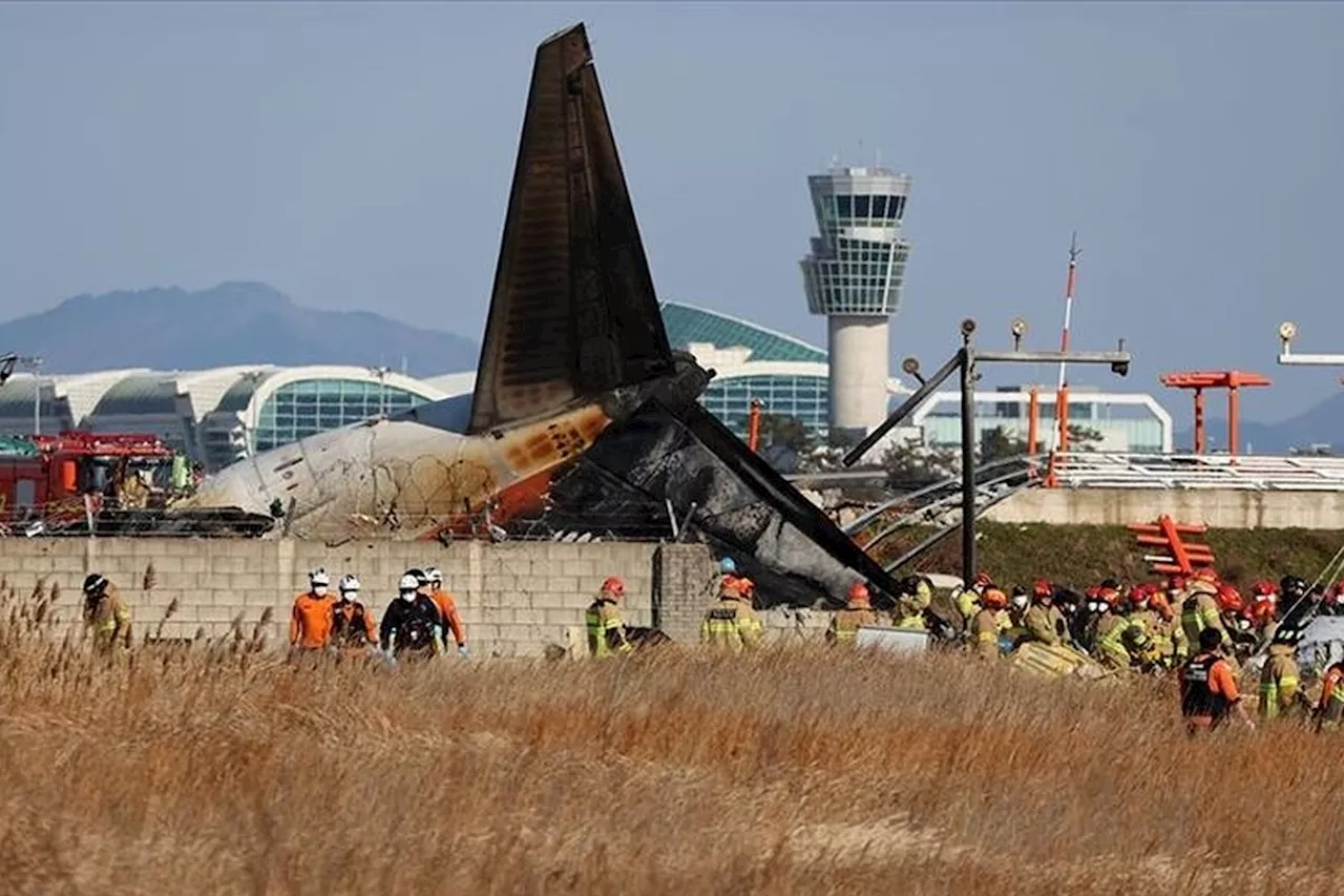 Tidak Ada WNI di Pesawat Jeju Air yang Kecelakaan di Korea Selatan