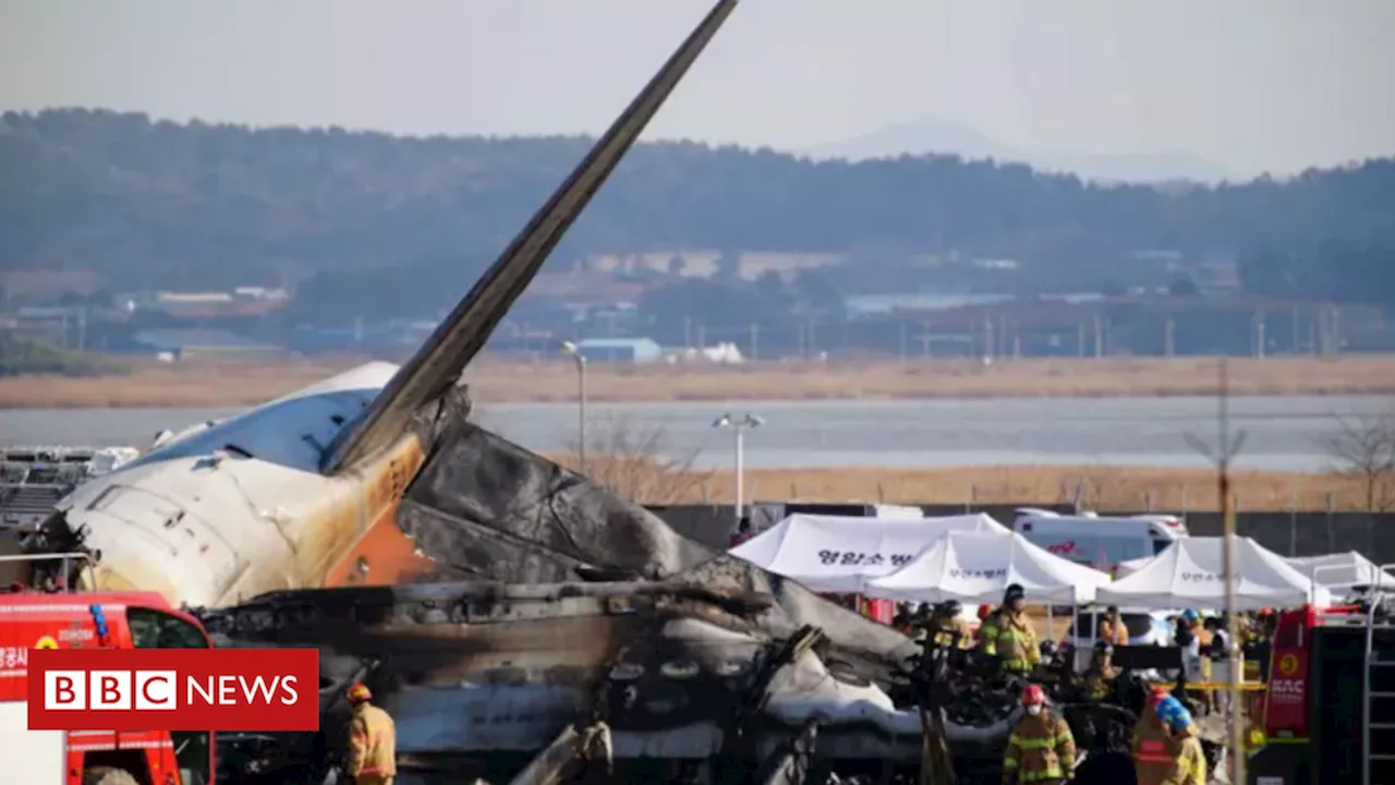 Avião Jeju Air Cai no Aeroporto de Muan