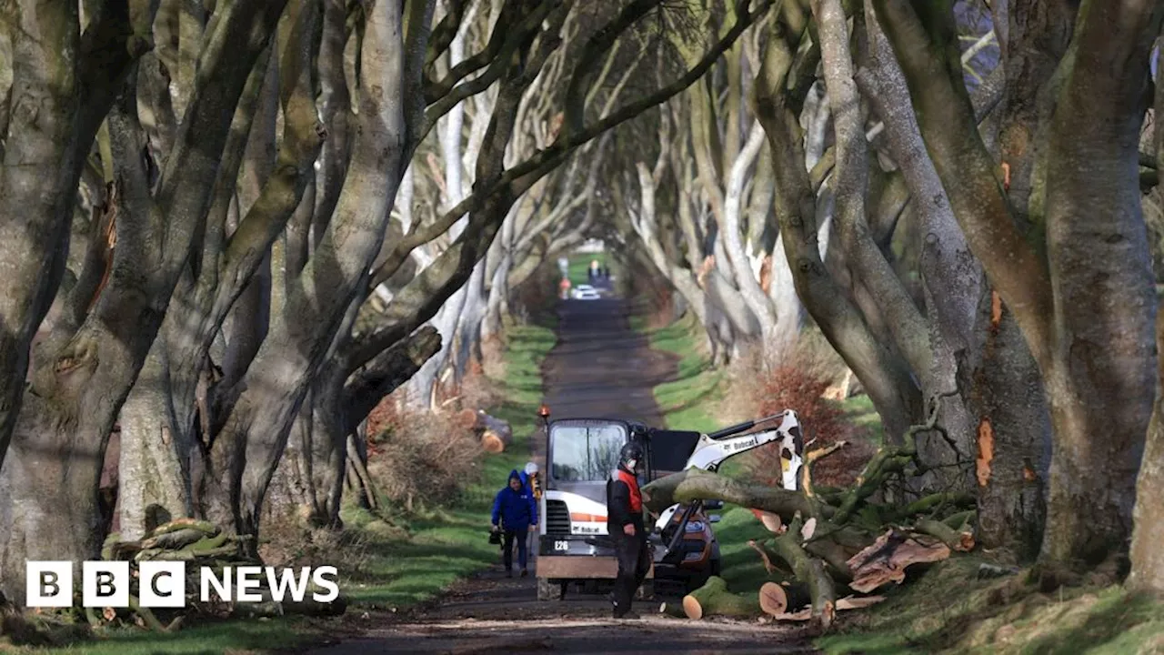 Northern Ireland Experiences Extreme Weather Throughout 2023