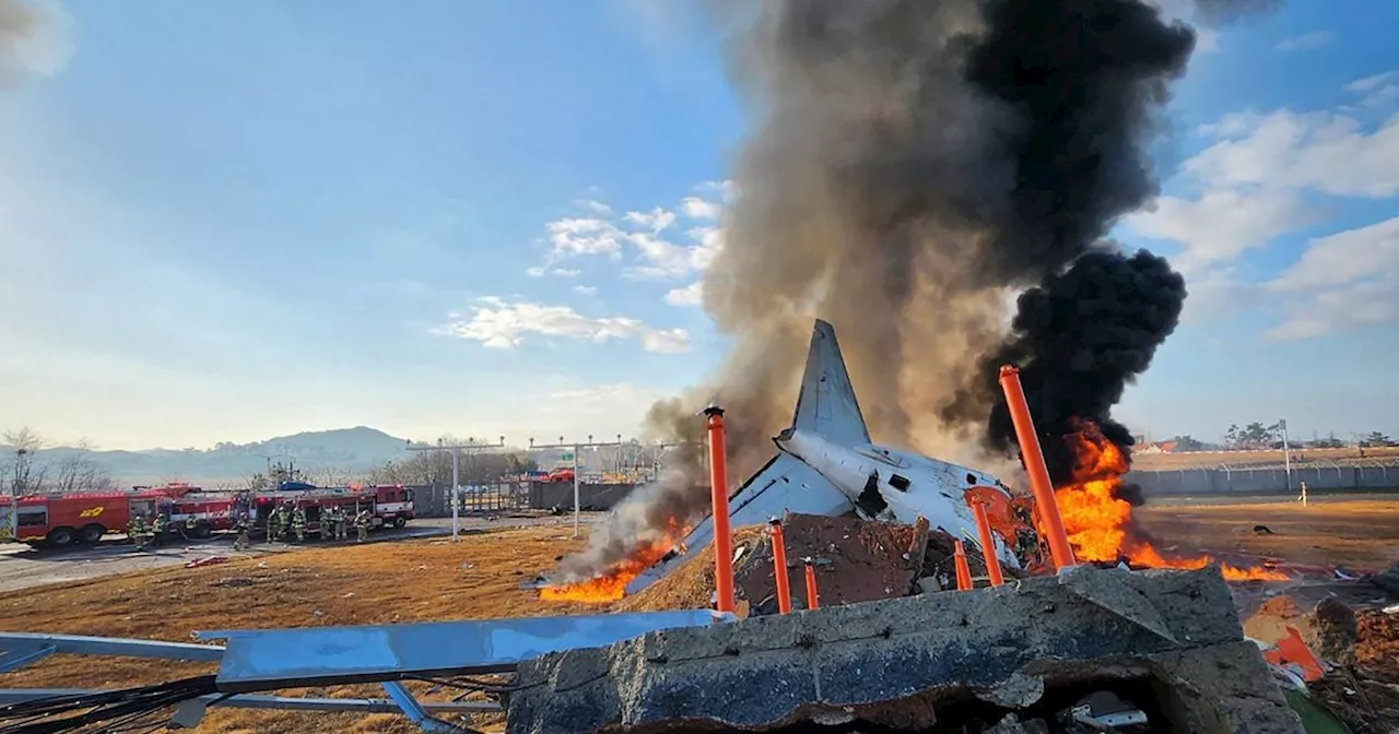 Plane crash kills 179 people after aircraft engulfed in flames after landing