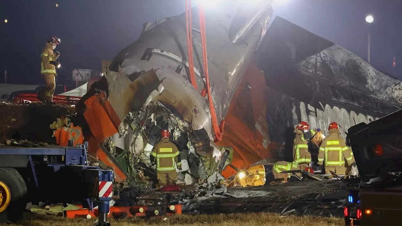 Deux Survivants après le Crash d'un Boeing en Corée du Sud