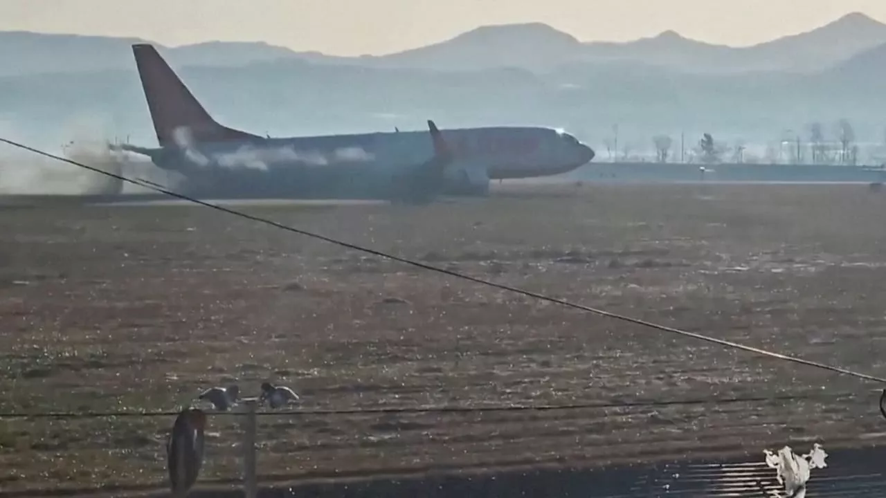 Flugzeug-Drama in Südkorea: „Das späte Aufsetzen war das Todesurteil“