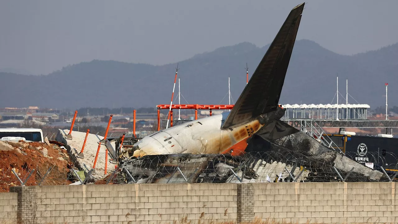 Flugzeugunglück in Südkorea: Zwei Überlebende bei Absturz