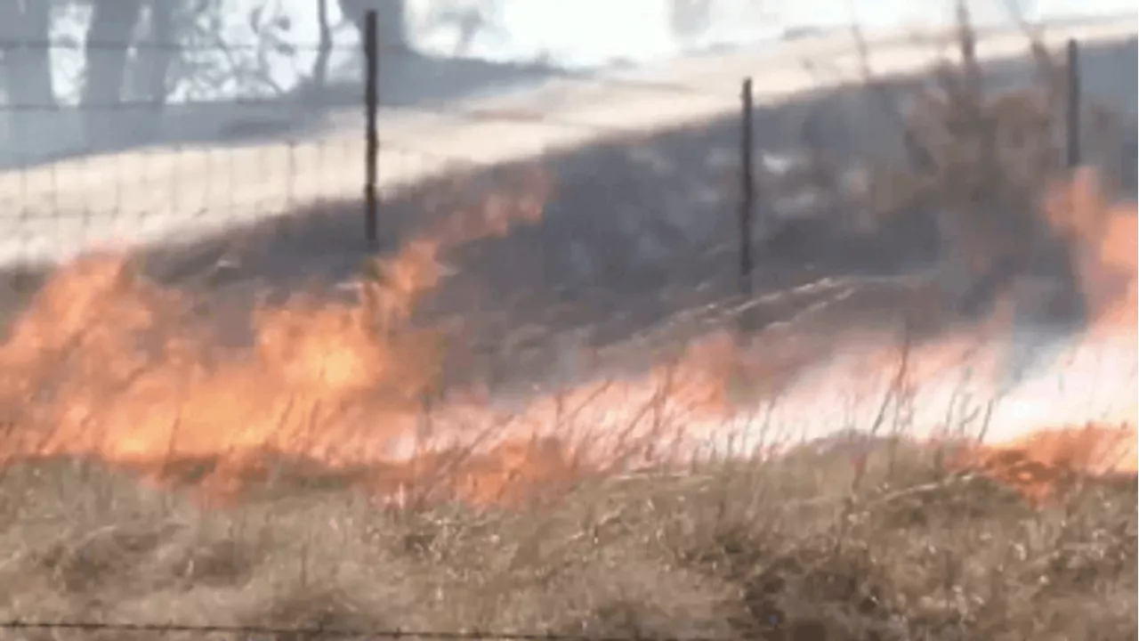 Former US President Jimmy Carter Dies; Texas Prepares for Wildfires