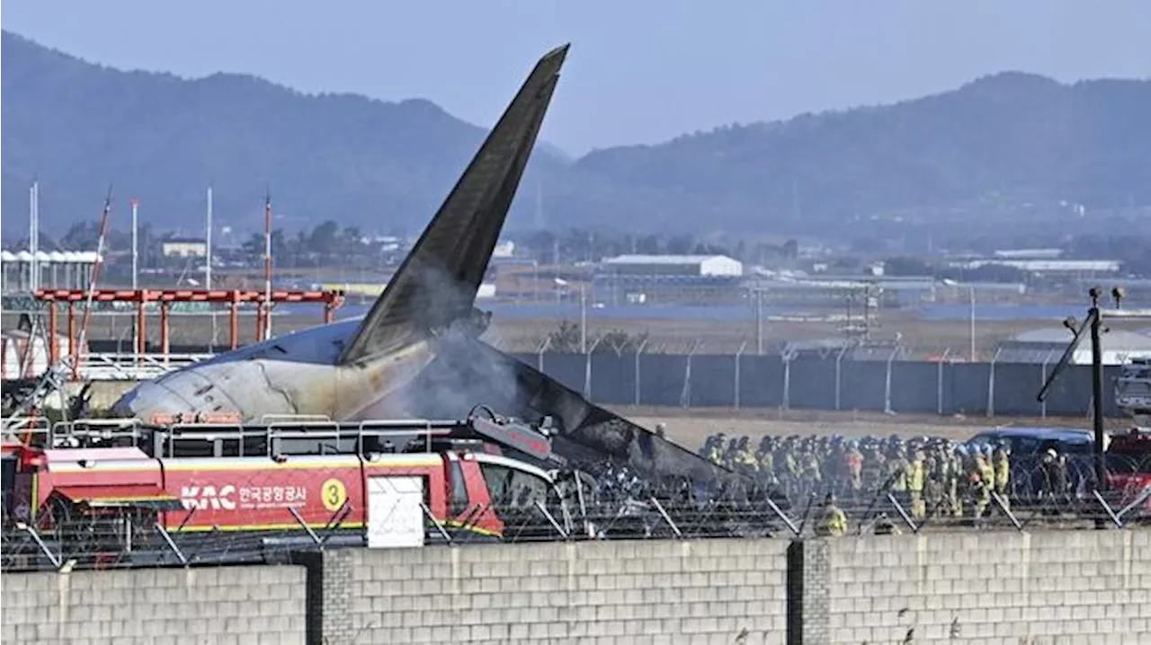 Kecelakaan Pesawat Bandara Muan Korea Selatan Menewaskan 62 Orang