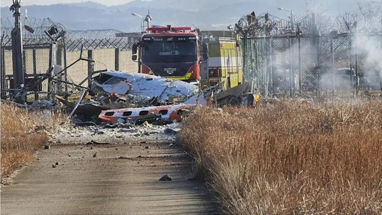 Pesawat Jeju Air Kecelakaan di Bandara Muan, Korban Terbanyak