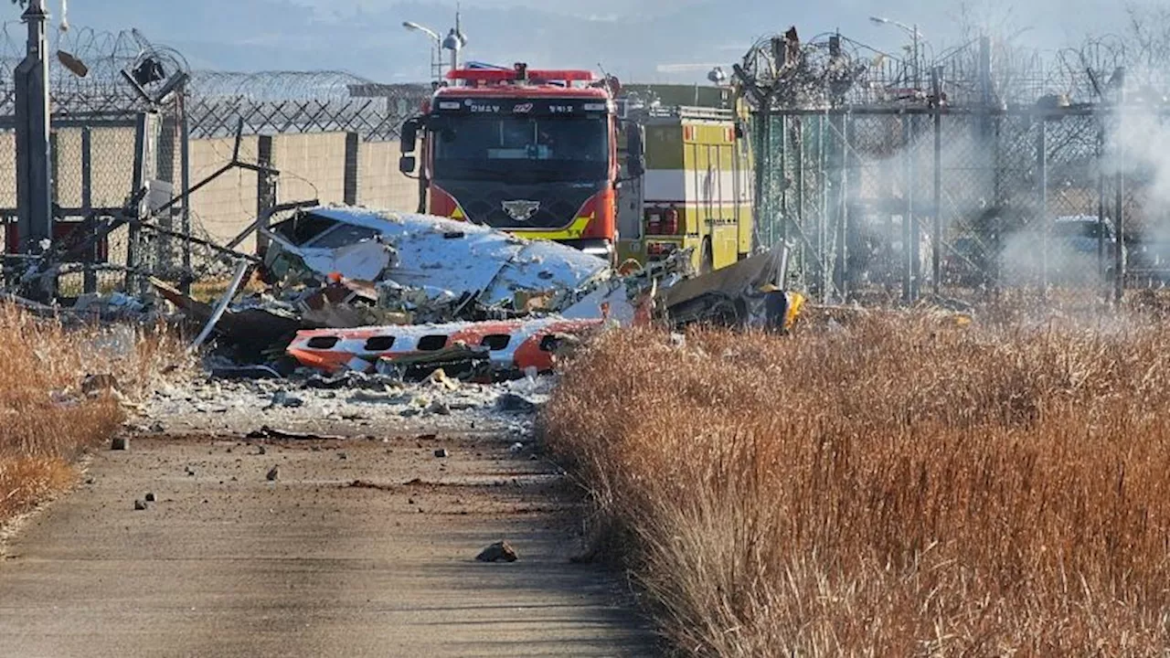 Passenger Plane Crash-Lands in South Korea Amidst Political Crisis