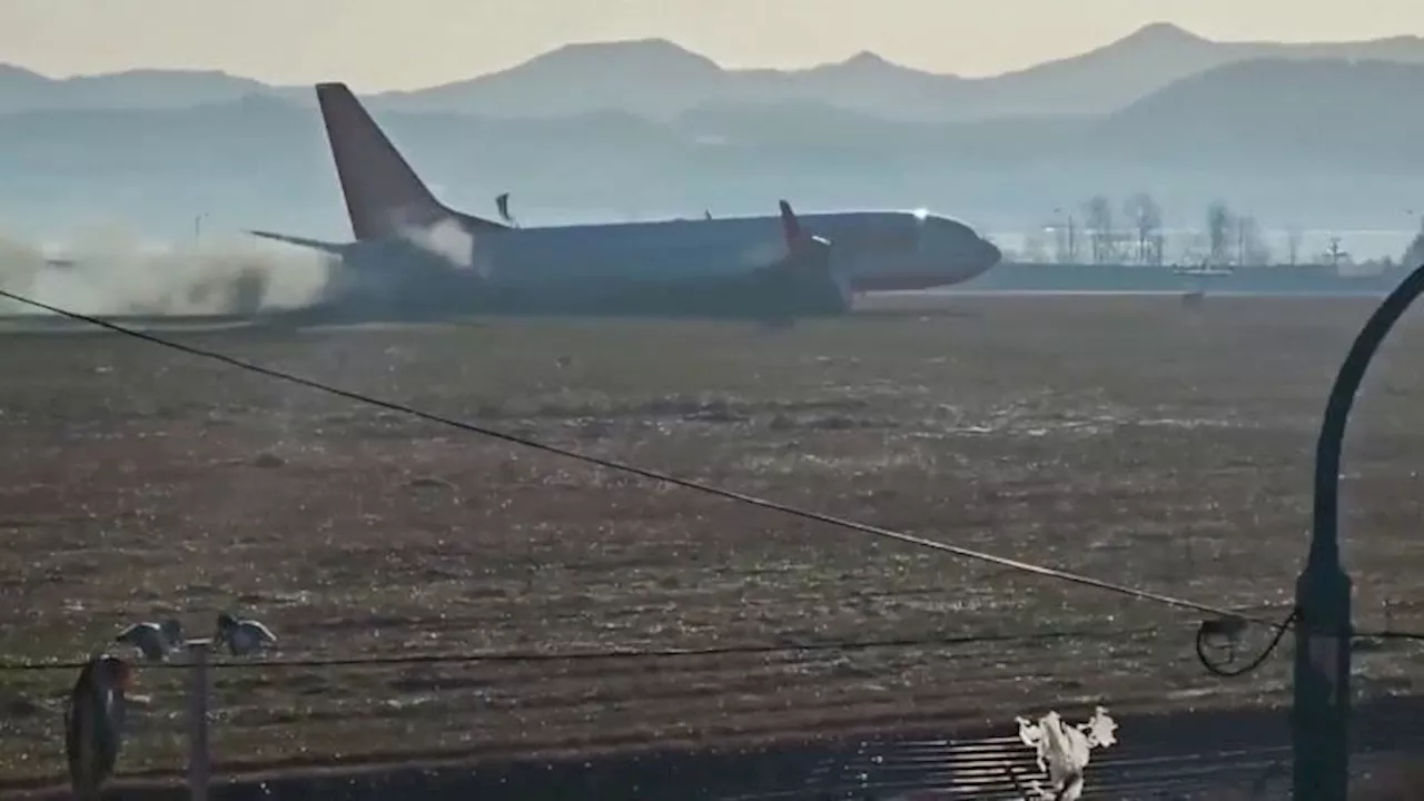 Avión de pasajeros se estrella en Corea del Sur, dejando 179 muertos