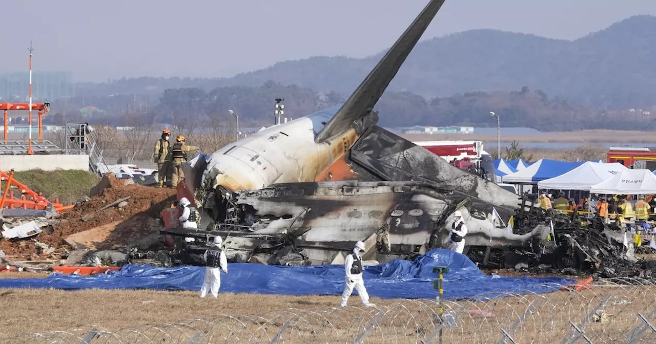 Passenger Jet Crashes in South Korea, Killing 179