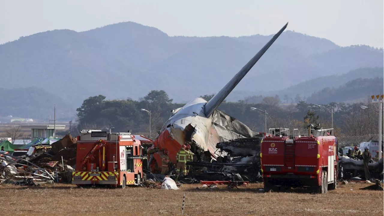 South Korean Jetliner Crashes, Killing Nearly All Aboard