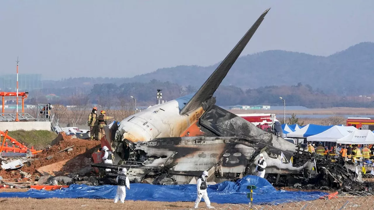 Flygplan kraschar i Sydkorea, 167 omkomna