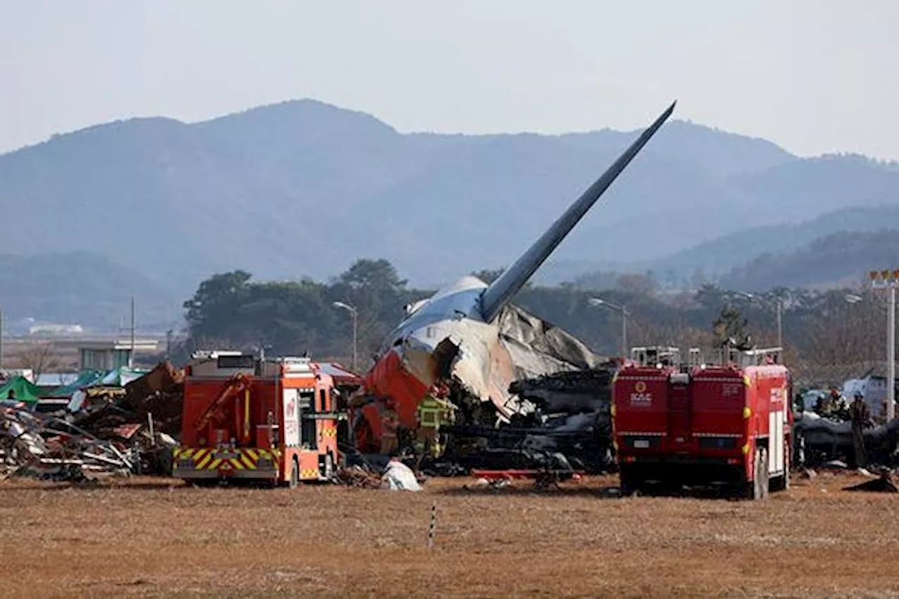  Över 170 befaras döda i flygkrasch i Sydkorea