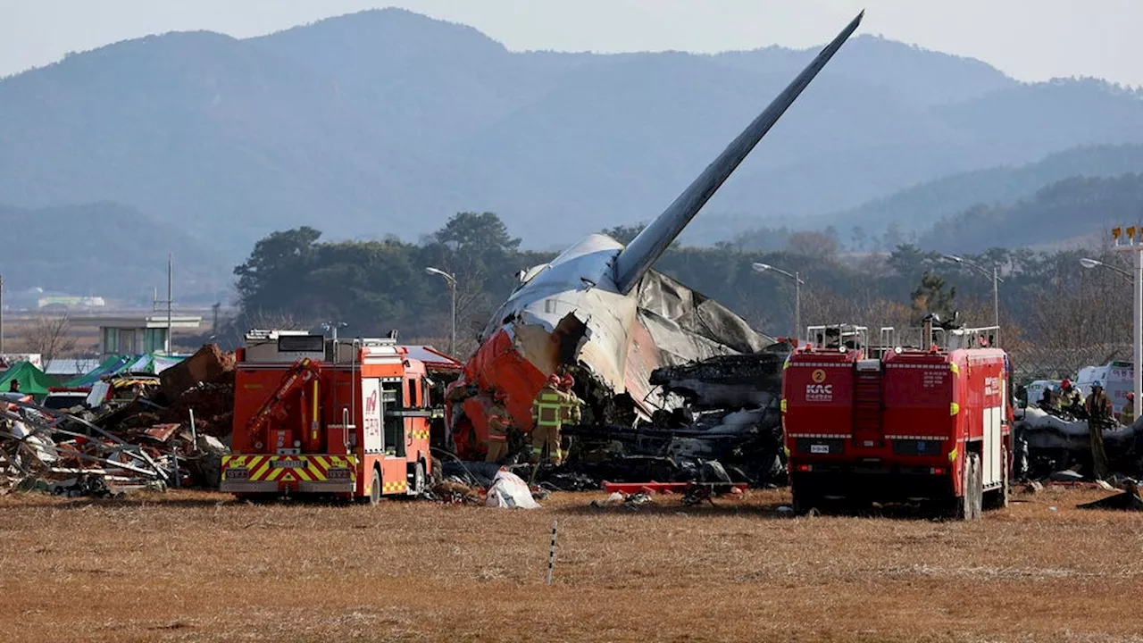 Över 170 tros ha dött i flygkrasch i Sydkorea