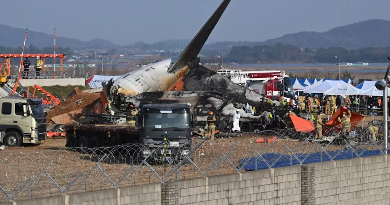 Heartbreaking Last Messages Sent by Jeju Air Crash Passengers | News