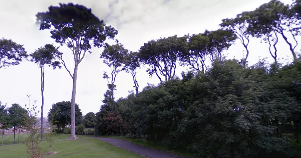 Man exposes himself in Arbroath park