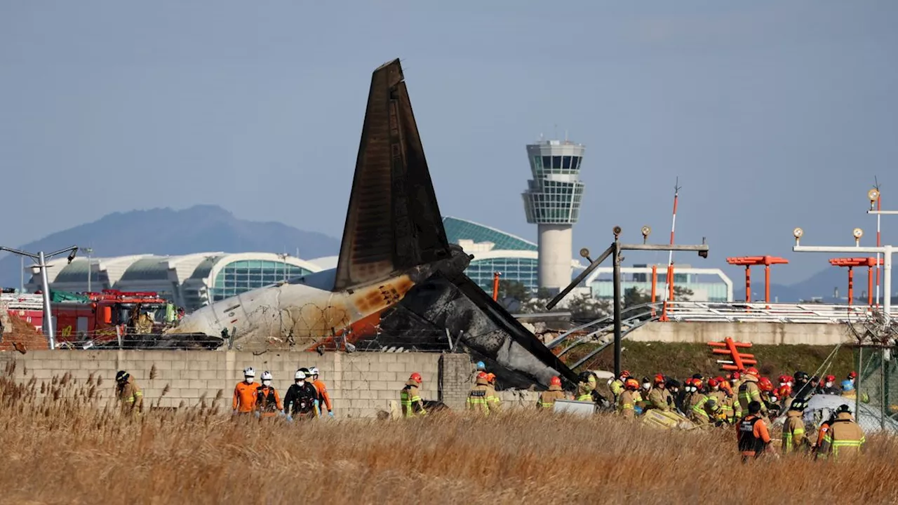 Boeing-Flugzeug stürzt in Südkorea ab, mindestens 151 Todesopfer