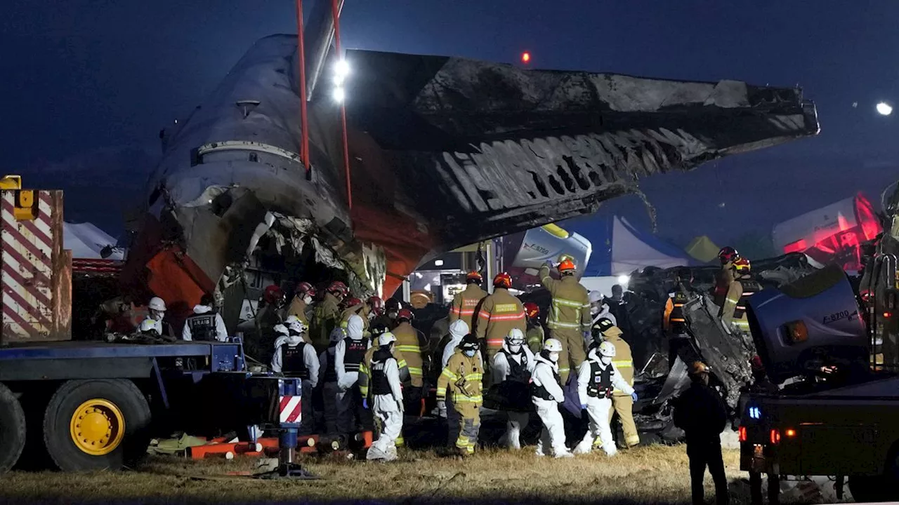 Katastrophe in Muan: Sieben Tage Staatstrauer in Südkorea wegen Flugzeugunglück