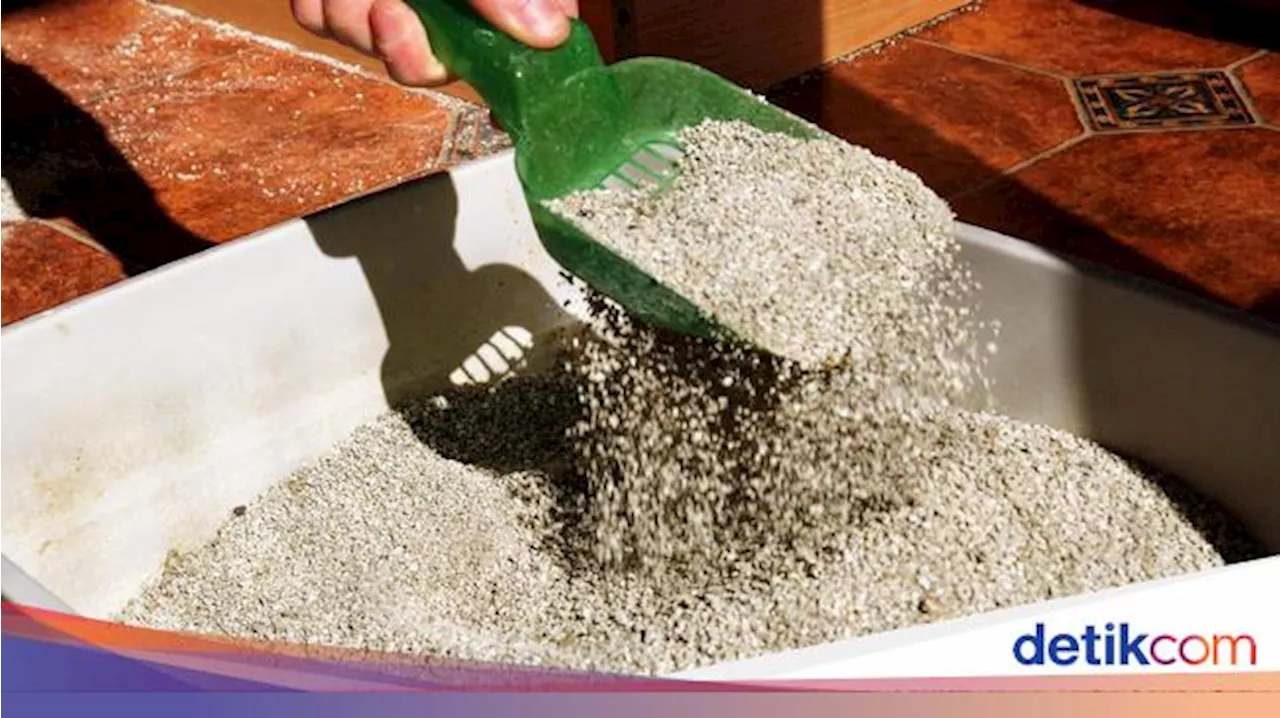 Jenis-Jenis Pasir Kucing dan Karakteristiknya