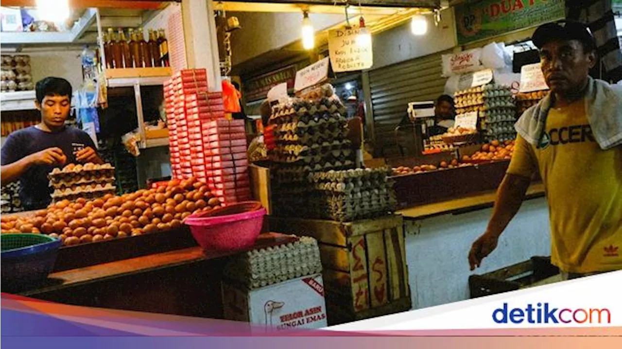 Pemerintah Lelang Stok Jagung Pakan Bulog untuk Menurunkan Harga