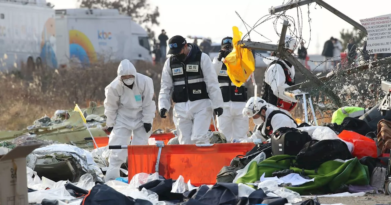 Plane Crash in South Korea Kills 179