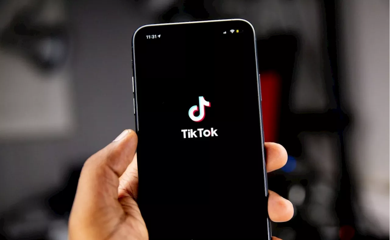 Las 10 Frases Más Virales de TikTok en 2024