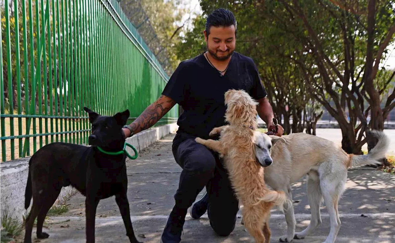 Titánica, la labor del cuidado de animales en la Ciudad de México