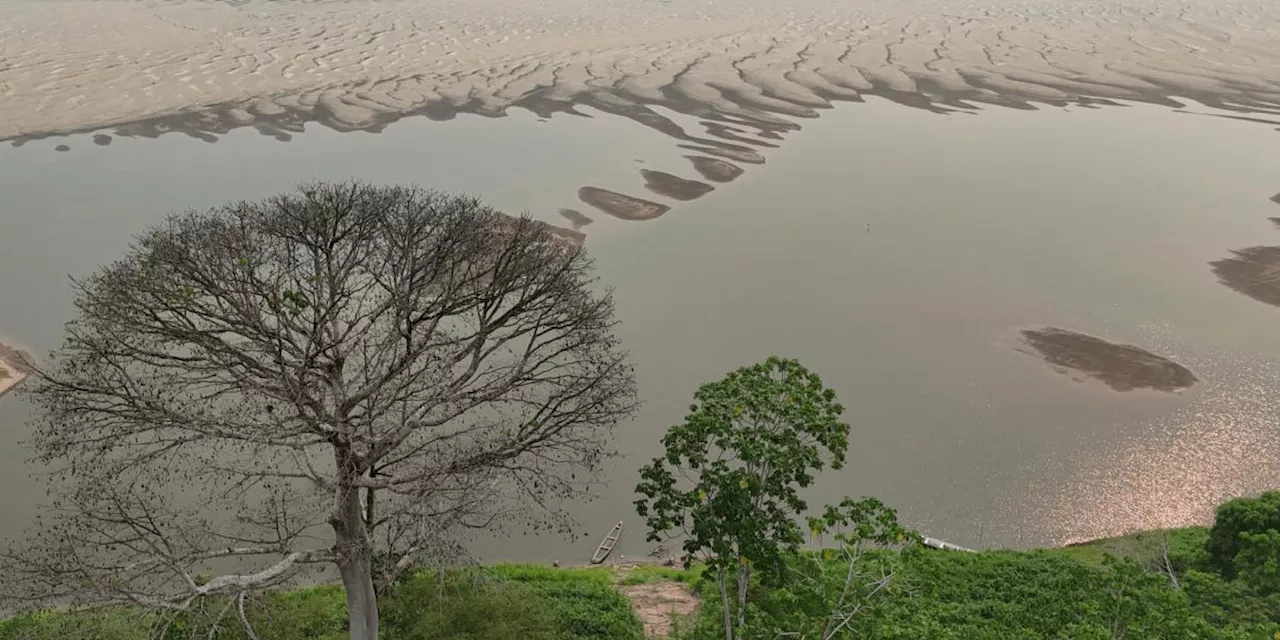 Brasil En un 'Escenario Alarmante' de Desastres Climáticos