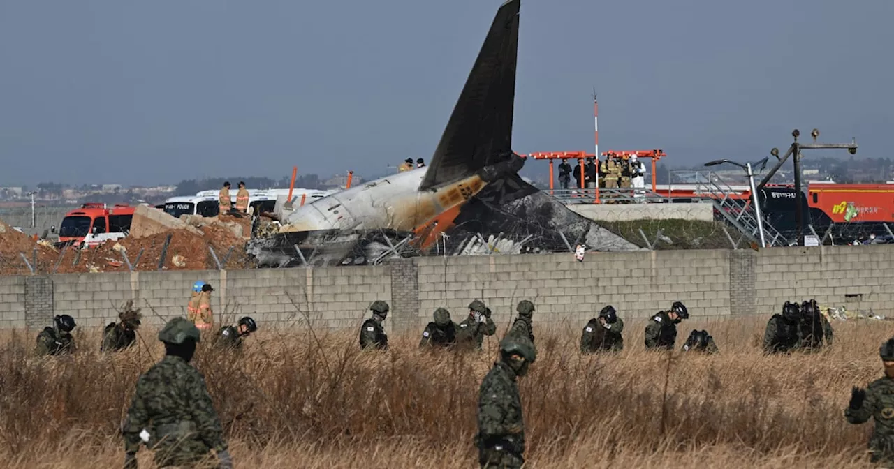 Jeju Air Plane Crashes in South Korea, Leaving Most Passengers Dead