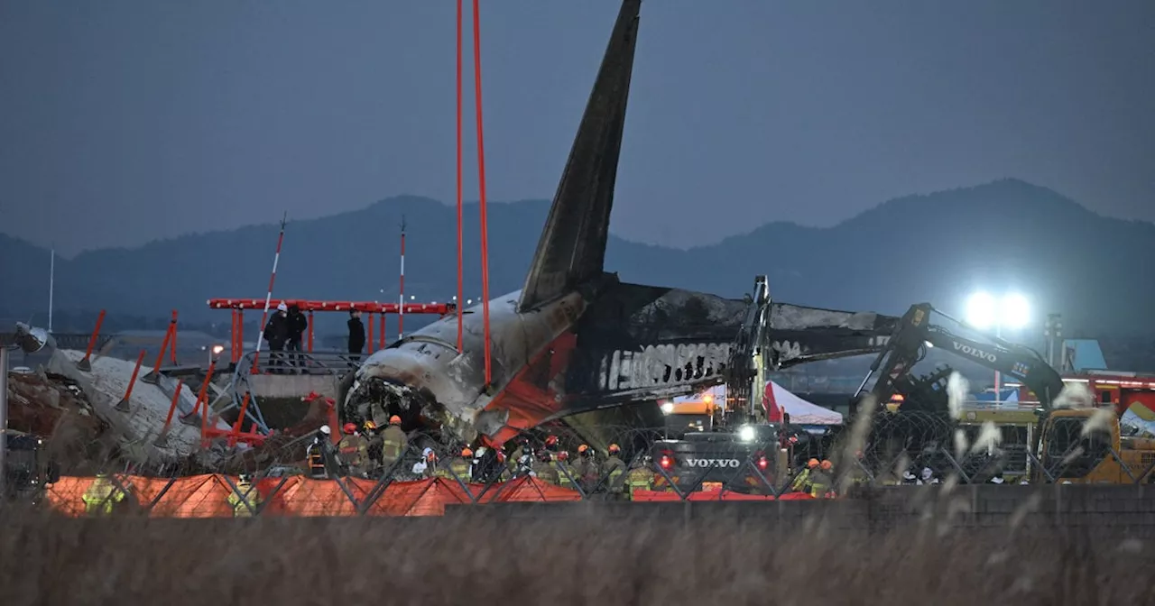 Jeju Air Plane Crashes in South Korea, Killing 179