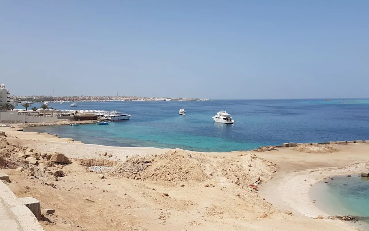 Tödlicher Haiangriff im Roten Meer