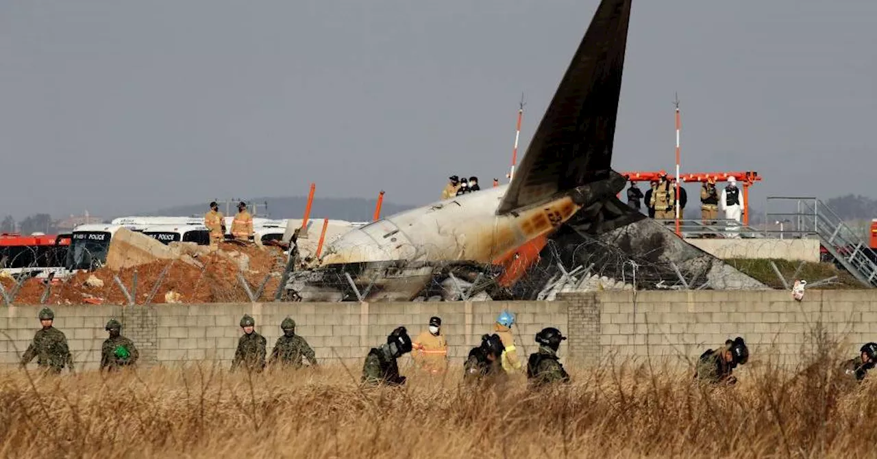 Acidente Aéreo na Coreia do Sul: 179 Mortes Presumidas