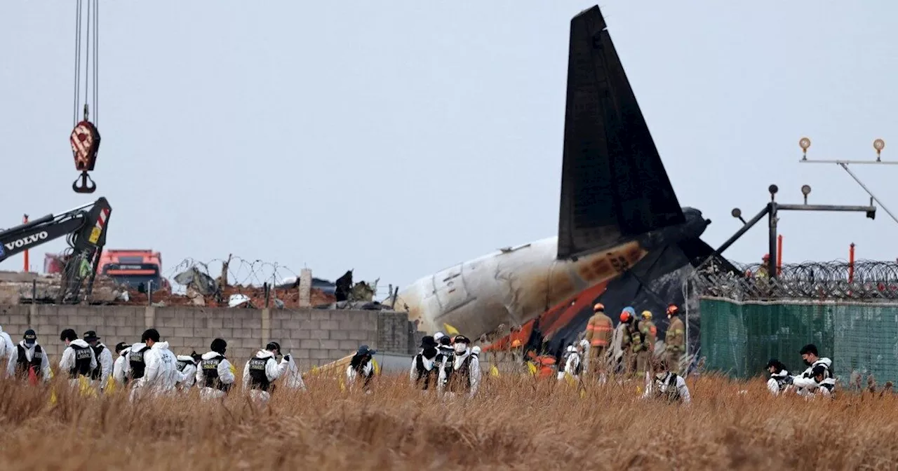 Aereo si schianta in Corea del Sud: almeno 176 morti