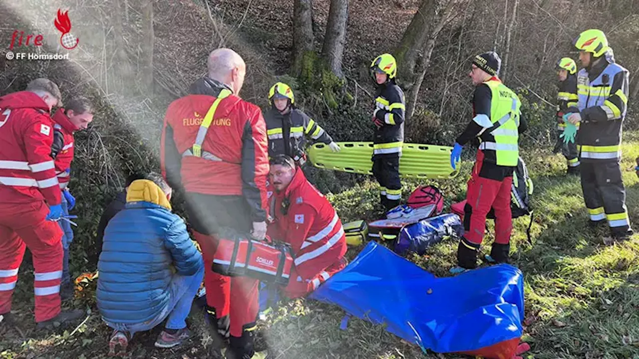 Forstunfall in Eibiswald: Mann von Baum getroffen und schwer verletzt