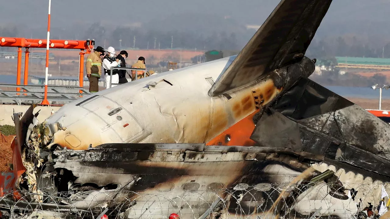 Jeju Air Boeing 737 Crashes in South Korea, Killing 179