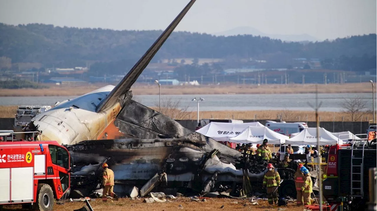 Tragédie à l'aéroport de Muan: Au moins 151 morts après un crash d'avion