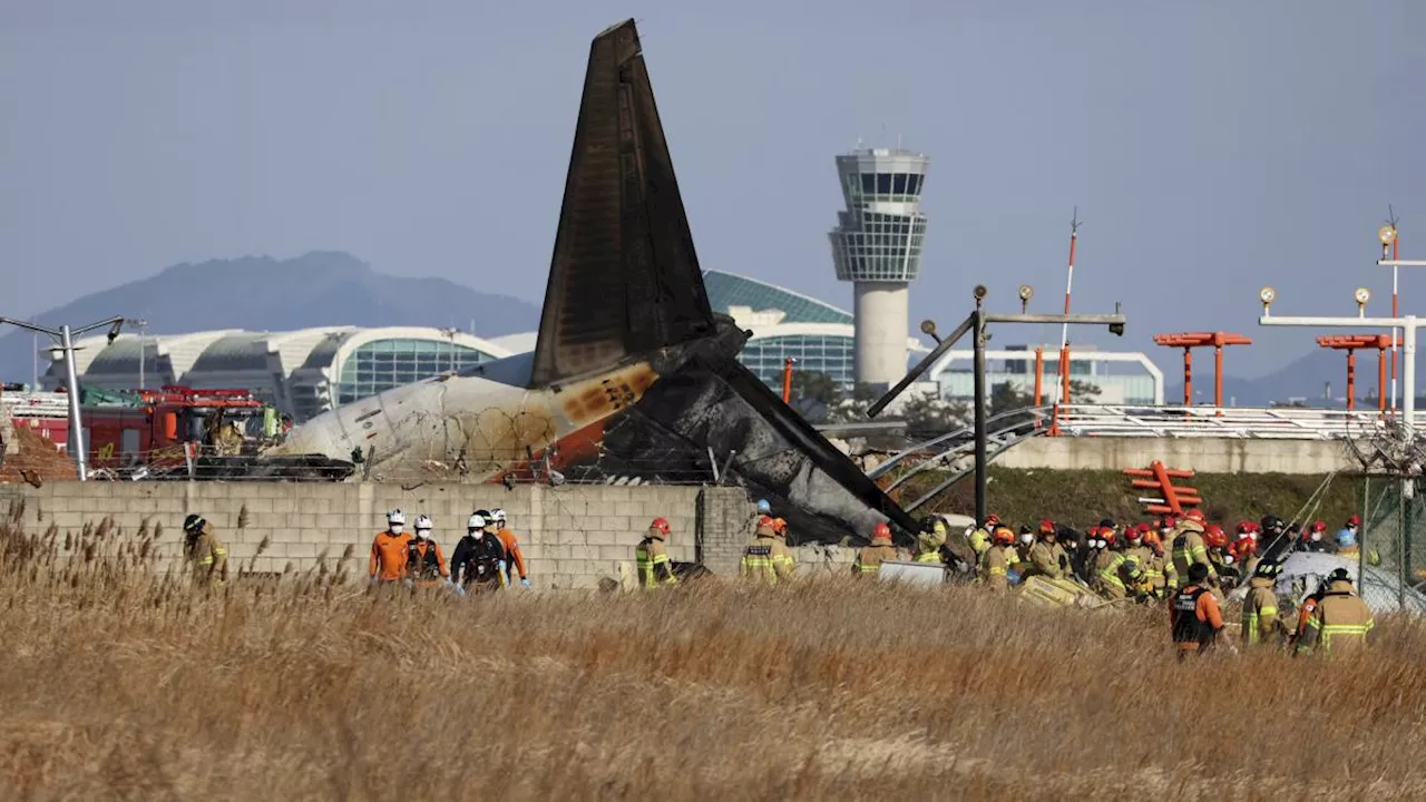 Tragedia all'aeroporto di Muan: aereo schiantato, oltre 120 morti