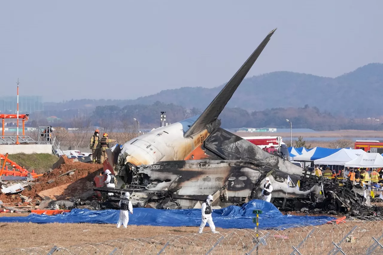 Jeju Air Plane Crashes in South Korea, Killing 179