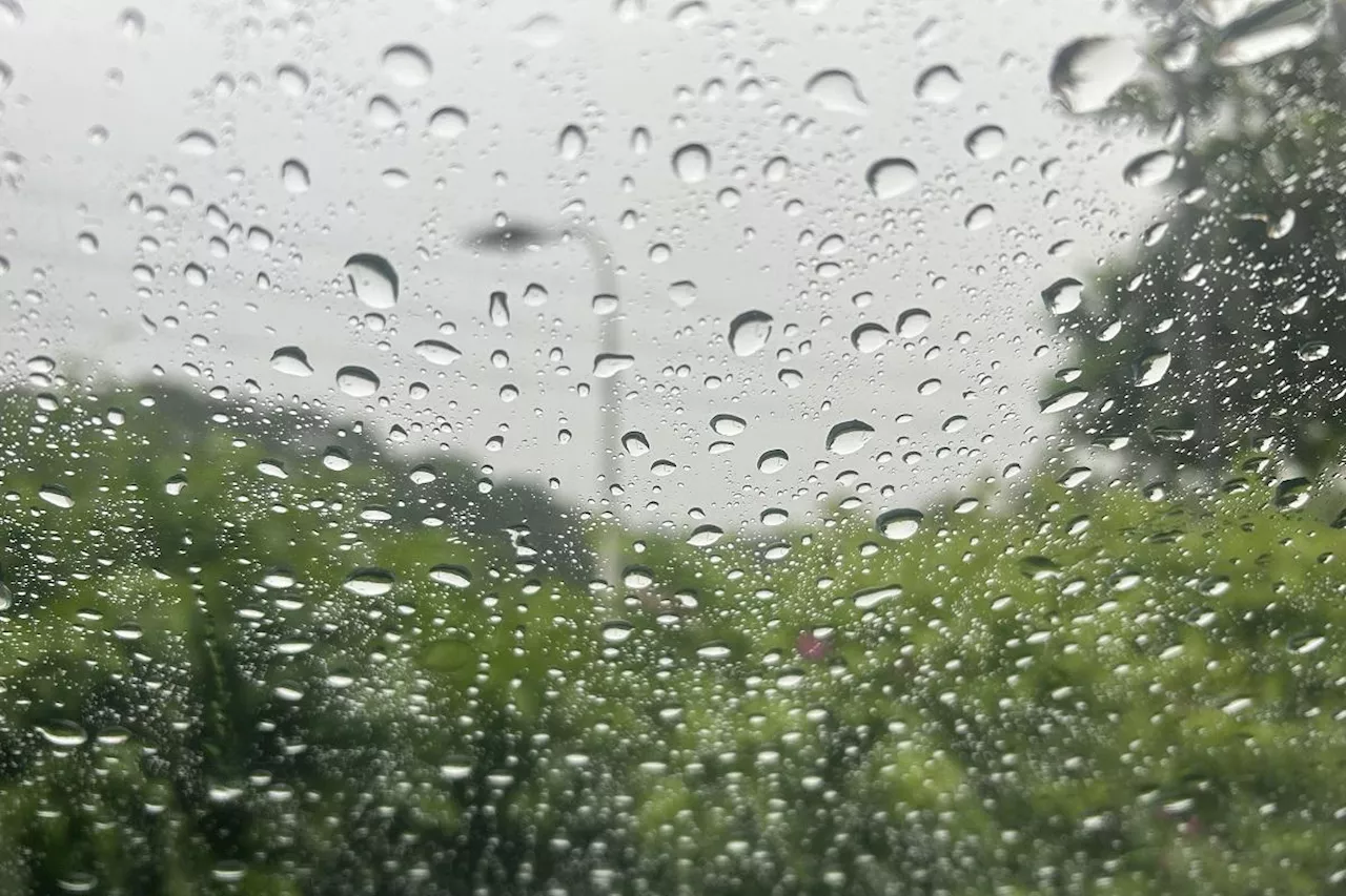 Heavy Rains Expected in Several Areas on Rizal Day