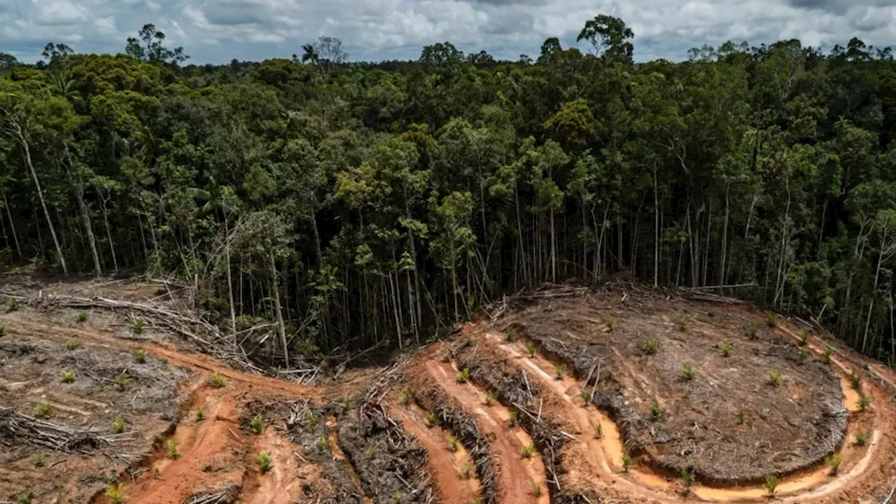 Dampak Revolusi Industri dan Aktivitas Manusia terhadap Lingkungan