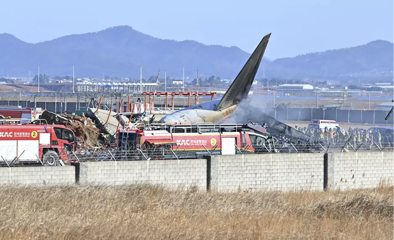 Pesawat Jeju Air Terbakar Setelah Tergelincir di Bandara Korea Selatan