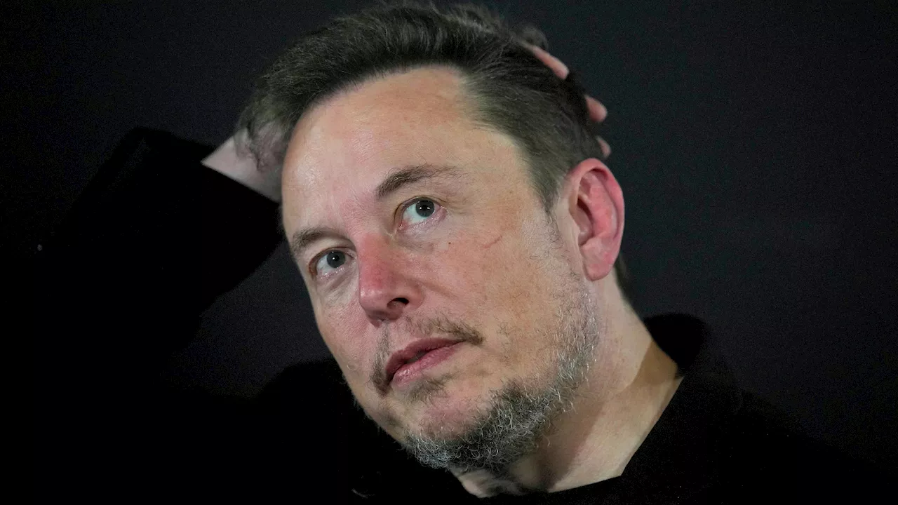 Elon Musk Entfacht Visadebatte mit Scharfen Äußerungen