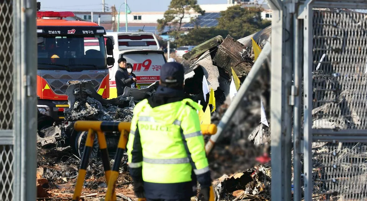 Schianto aereo in Corea del Sud: possibile bird strike e condizioni meteorologiche avverse