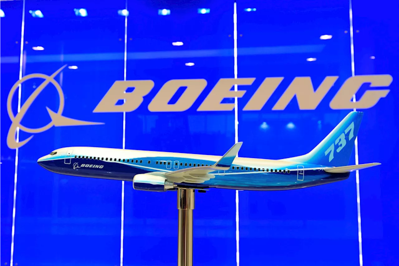 ROUNDUP: Boeing 737-800 in Südkorea zerschellt