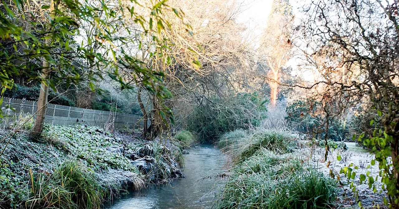 National Trust Winter Garden Tips