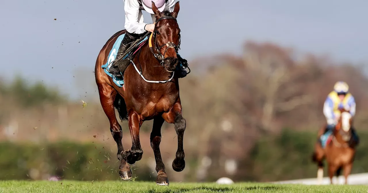 Blackmore Triumphs at Leopardstown Christmas Festival