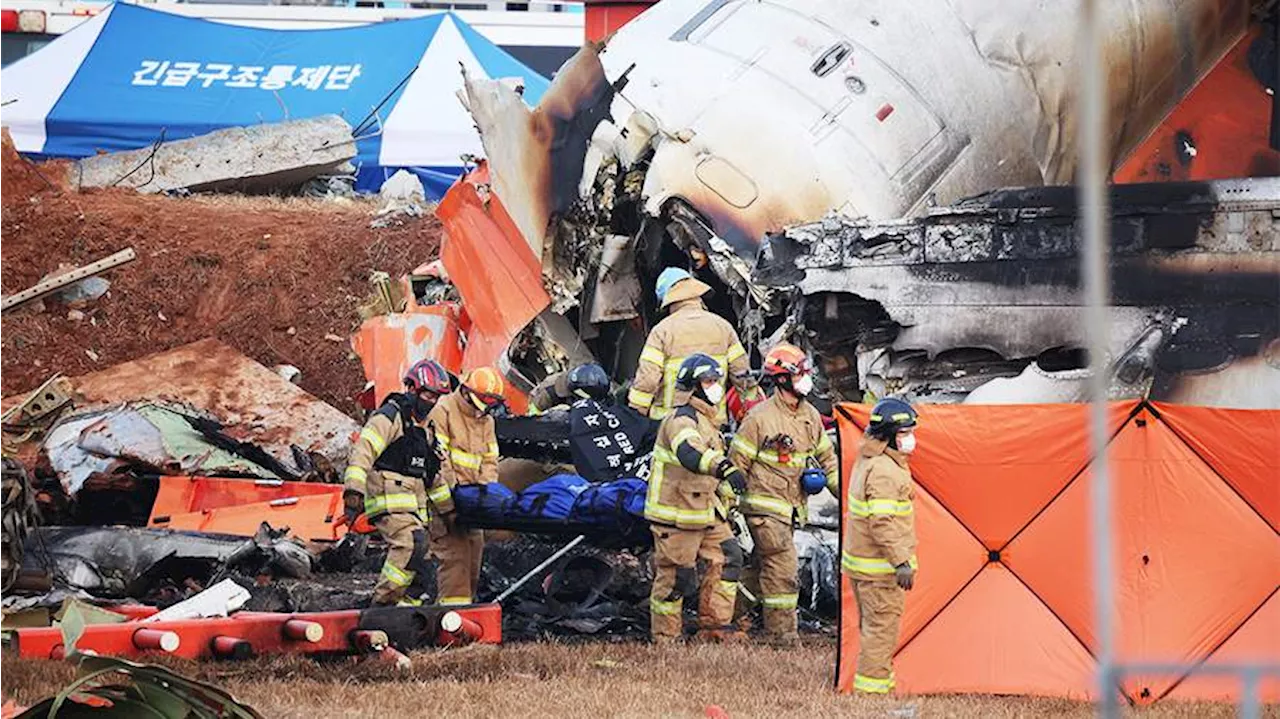 Крушение самолета Jeju Air в Южной Корее: число погибших достигло 151