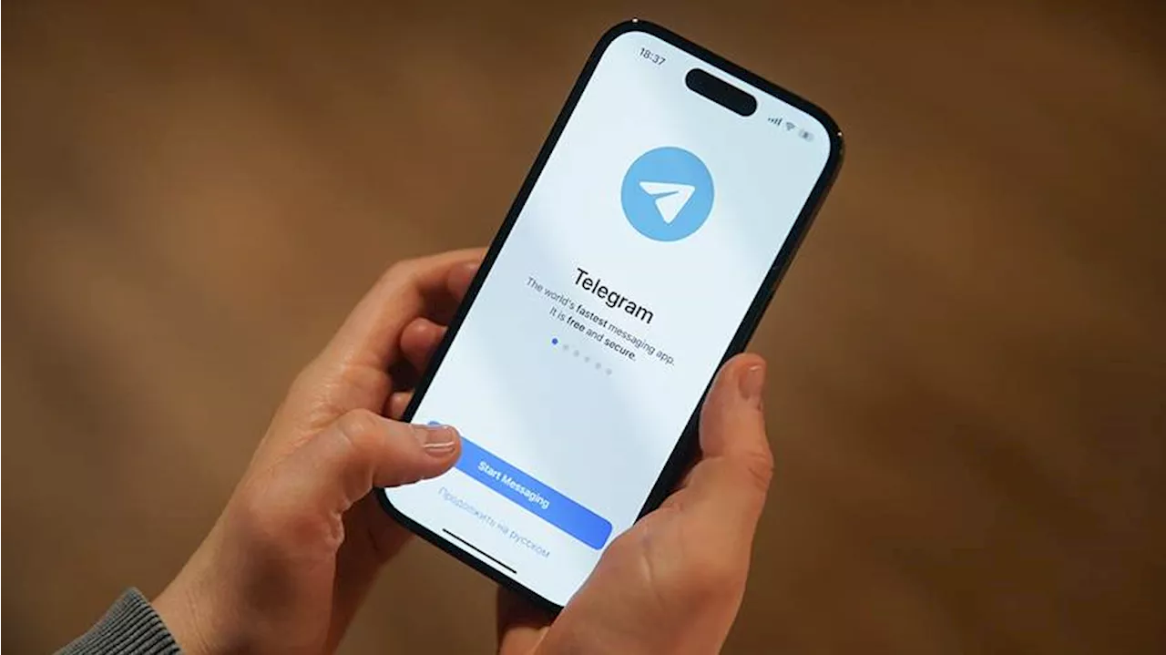 Россия обещает ответ на блокировку своих Telegram-каналов в Европе