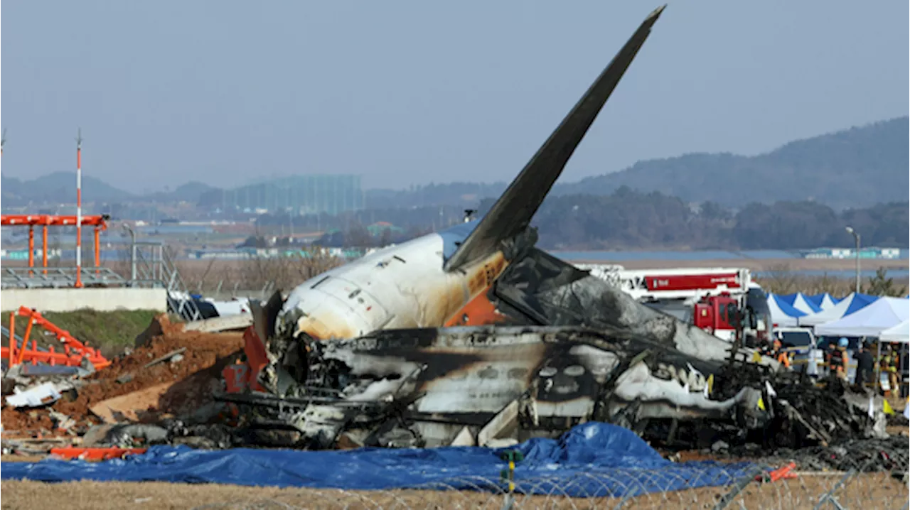 무안공항 여객기 추락 사고, 조류 충돌 경보 발생 확인