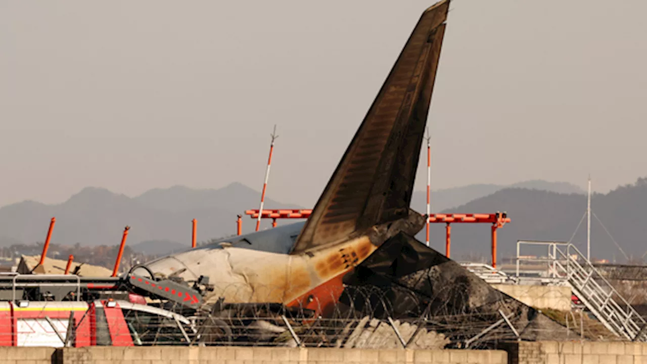 무안공항 여객기 추락, 탑승객 181명